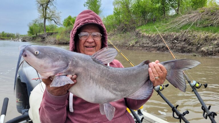 Try Catfish fishing in Minnesota, a prime destination