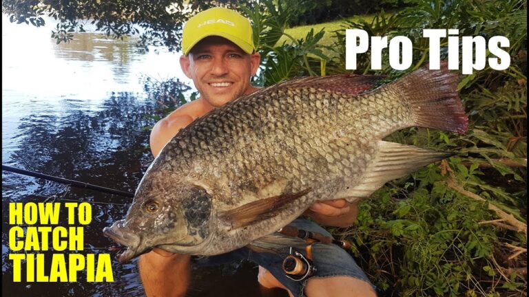 Where to Fish for Tilapia: Tips from the Pros