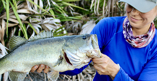 Winter Bass Fishing Secrets for Cold Weather Success