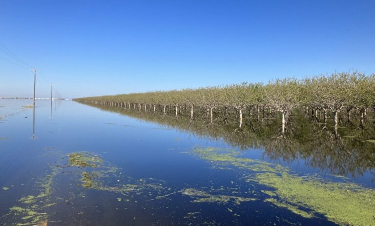 Worster Lake: Learn About This Body of Water