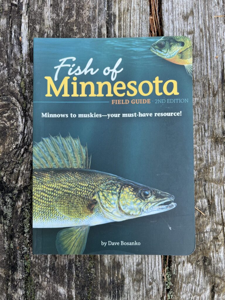 Your Resource for Fishing in Minnesota