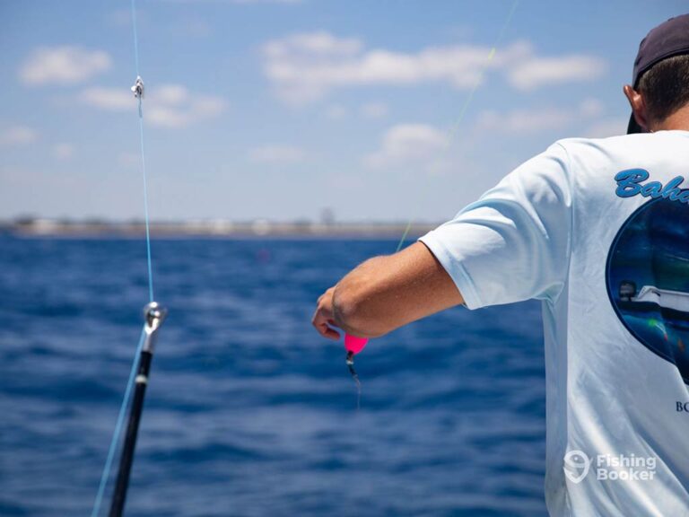 Your Saltwater Fishing Lures Guide